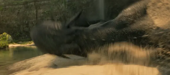 Un dragon qui dérape sur le sable dans un nuage de sable